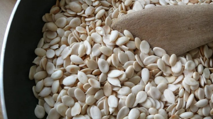 Nigerian Egusi Seeds Make Historic Journey to Space on NASA Mission